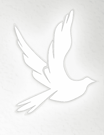 James Robert Sassman Obituary